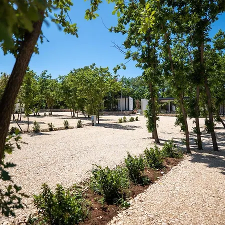 Dionis Camping Zaton (Zadar)