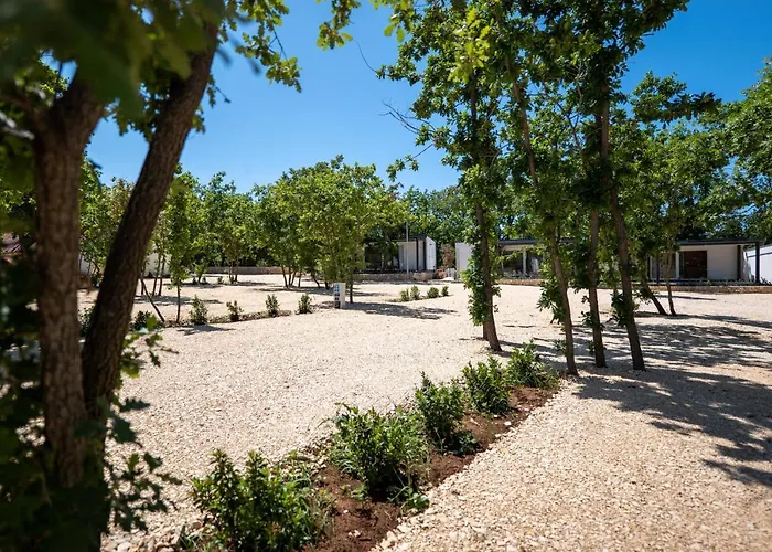 Dionis Camping Zaton (Zadar)