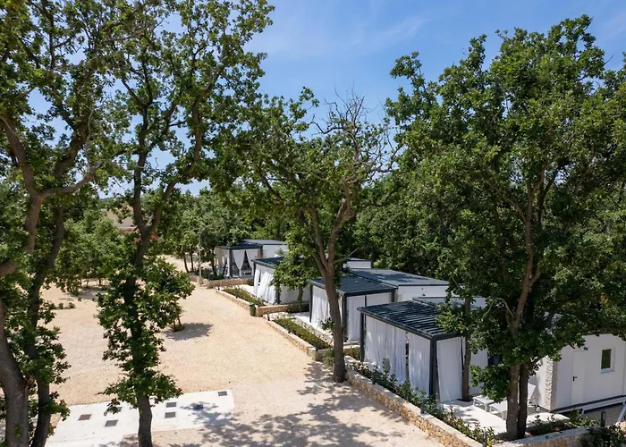 Dionis Zaton (Zadar)