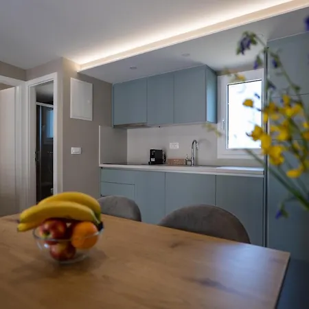 Dionis Zaton (Zadar)