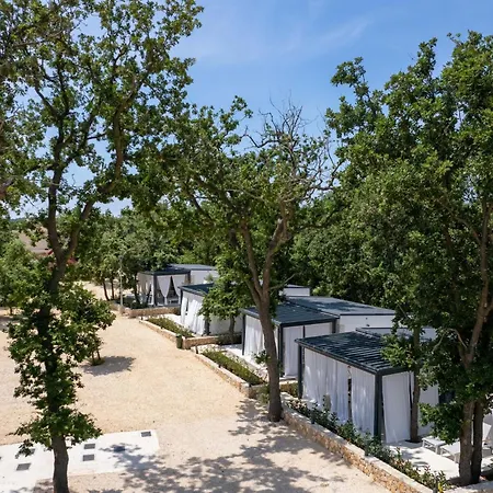Dionis Zaton Zaton (Zadar)
