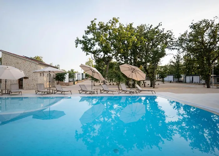 Dionis Zaton (Zadar)